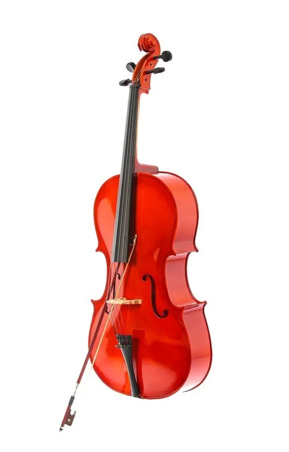 Виолончель Fabio F-019 1/2 натуральный
Виолончель Fabio F-019 1/2 натуральный