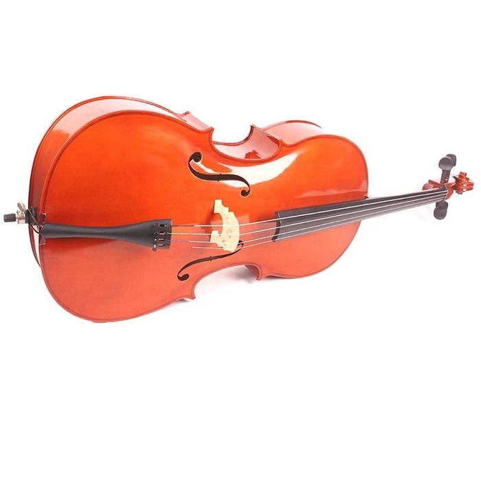 Виолончель Mirra CB-290-1/2 комплект с футляром и смычком
Виолончель Mirra CB-290-1/2 комплект с футляром и смычком