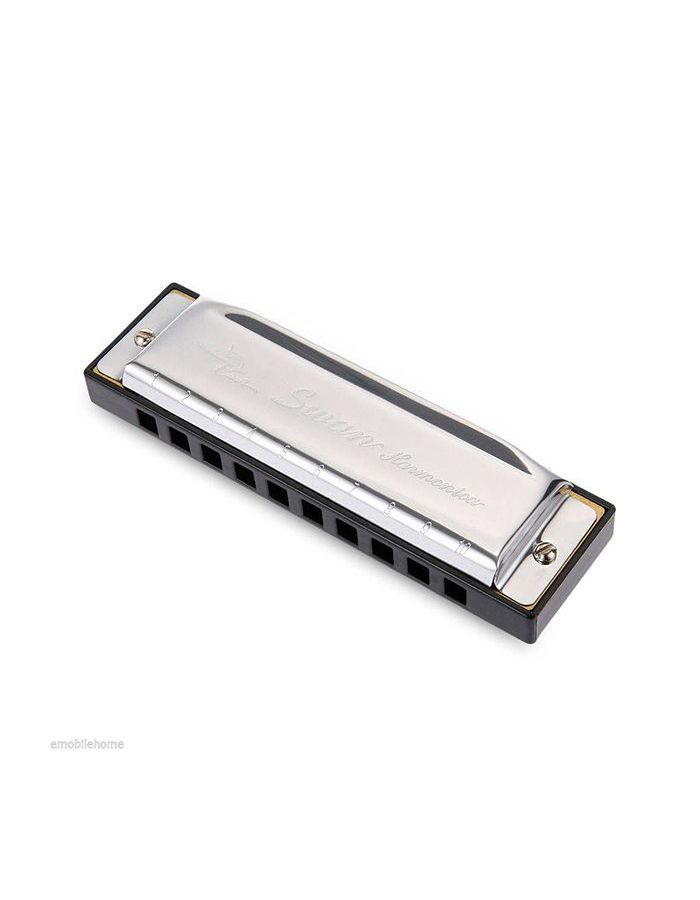 Губная гармошка Swan SW1020 диатоническая
Губная гармошка Swan SW1020 диатоническая