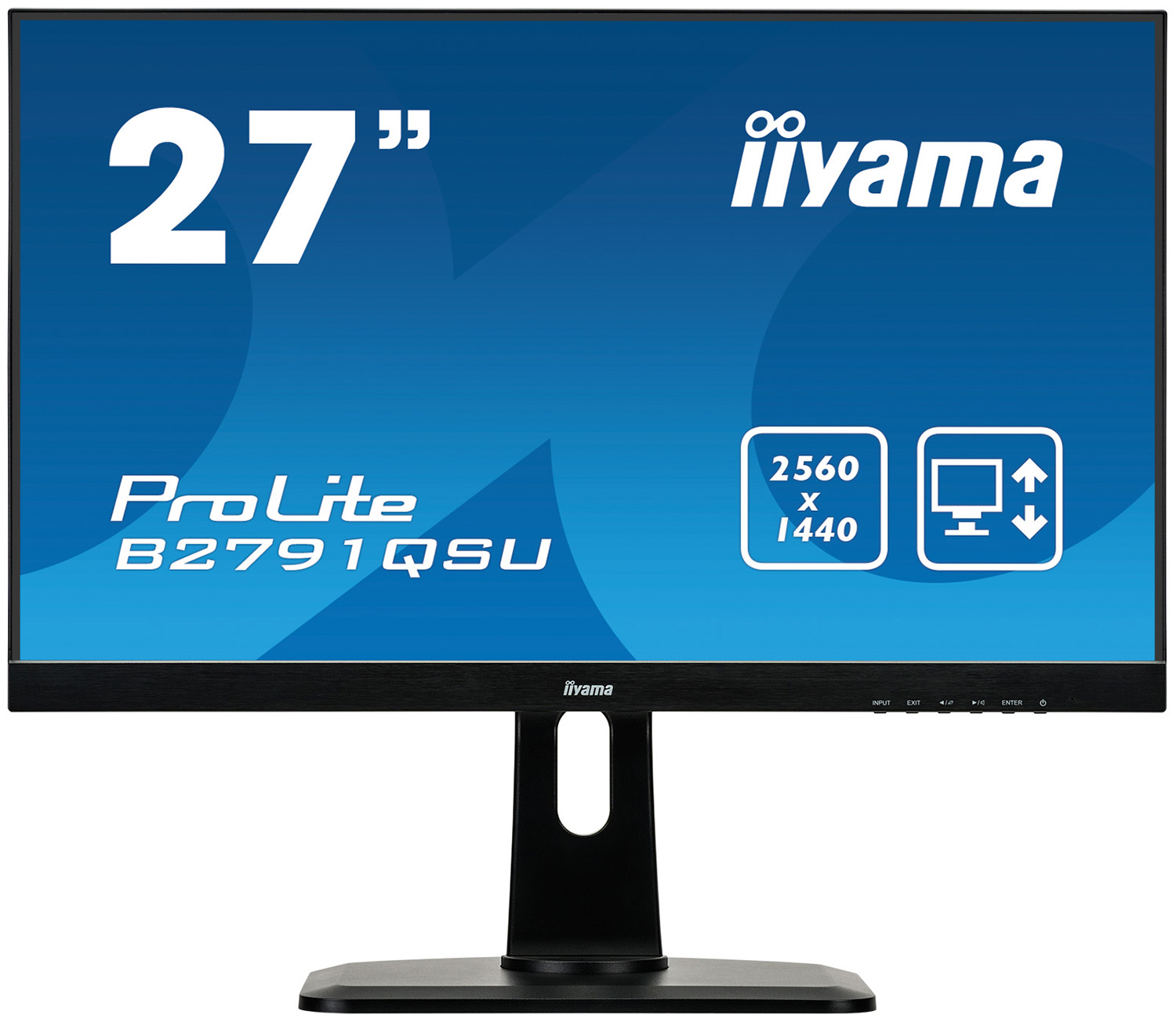 Монитор Iiyama 27'' Black B2791QSU-B1
Монитор Iiyama 27'' Black B2791QSU-B1