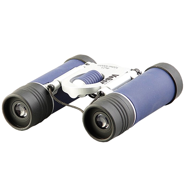 Бинокль Veber Sport БН 8х21, синий
Бинокль Veber Sport БН 8х21, синий