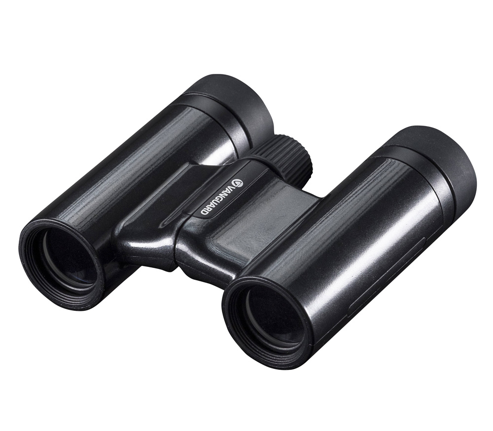 Бинокль Vanguard VESTA 1021 BP
Бинокль Vanguard VESTA 1021 BP