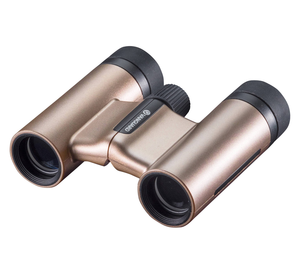 Бинокль Vanguard VESTA 1021 CHAM
Бинокль Vanguard VESTA 1021 CHAM