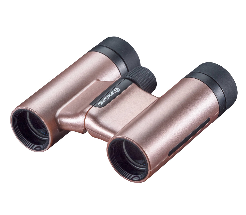 Бинокль Vanguard VESTA 1021 ROSE
Бинокль Vanguard VESTA 1021 ROSE