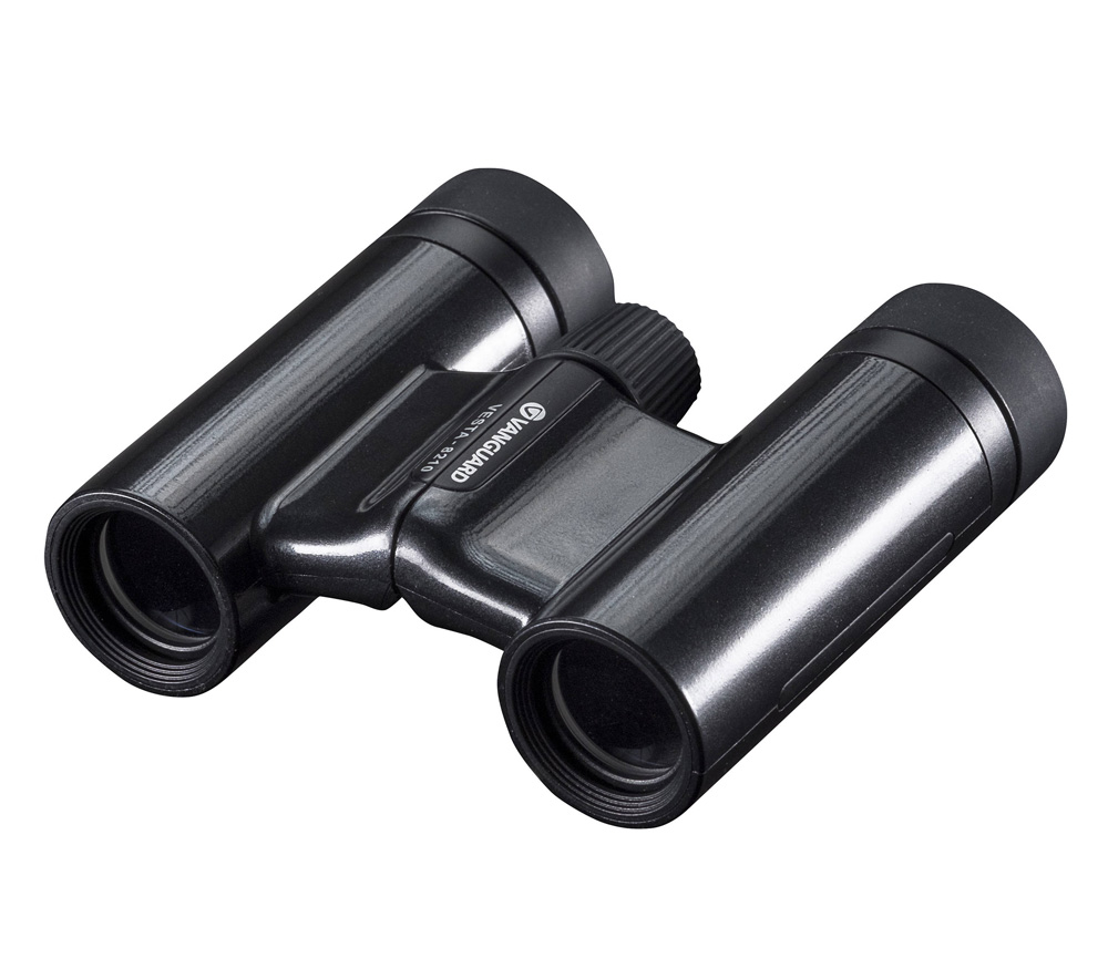 Бинокль Vanguard VESTA 8210 BP
Бинокль Vanguard VESTA 8210 BP