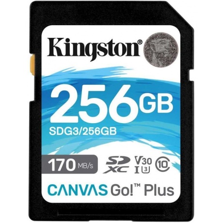 Карта памяти Kingston SDG3/256GB
Карта памяти Kingston SDG3/256GB