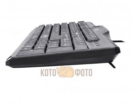 Клавиатура Oklick 170M черный PS/2 - фото 2