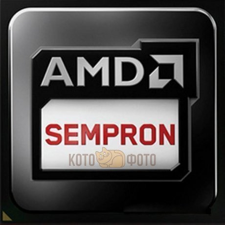 Процессор AMD Sempron X2 2650 Socket-AM1 (1.45;5000;1Mb;Radeon HD 8240) Kabini OEM - фото 1