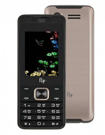 Мобильный телефон Fly FF245 Champagne - фото 1