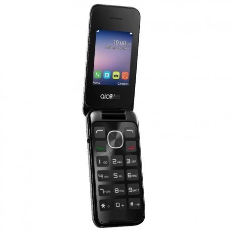 Мобильный телефон Alcatel 2051D Metal Silver - фото 2