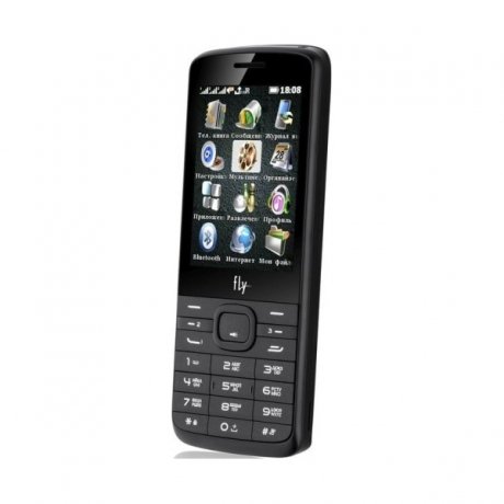 Мобильный телефон Fly TS113 Black - фото 2