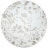 Настенно-потолочный светильник Arte lamp Ornament A4120PL-2CC