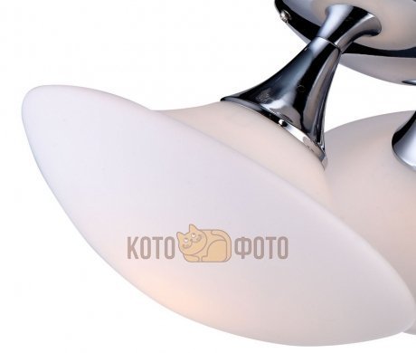 Потолочный светильник Arte Lamp Soffione A2550PL-3CC - фото 2