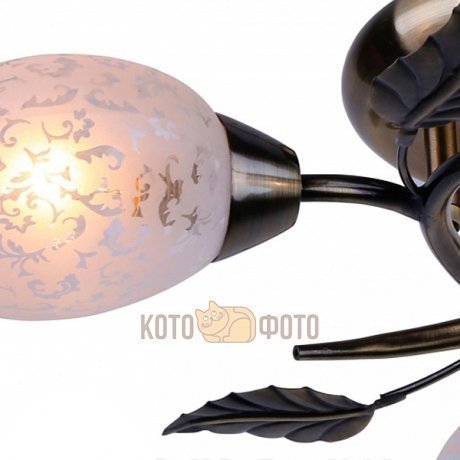 Потолочный светильник Arte Lamp Anetta A6157PL-3AB - фото 2