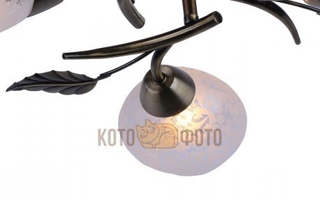 Потолочный светильник Arte Lamp Anetta A6157PL-5AB - фото 3