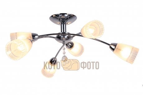 Потолочный светильник Arte Lamp Giulia A6198PL-6CC - фото 1