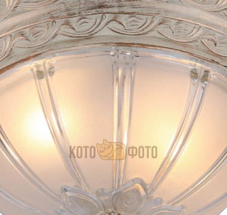 Потолочный светильник Arte Lamp Piatti A8014PL-2WA - фото 2