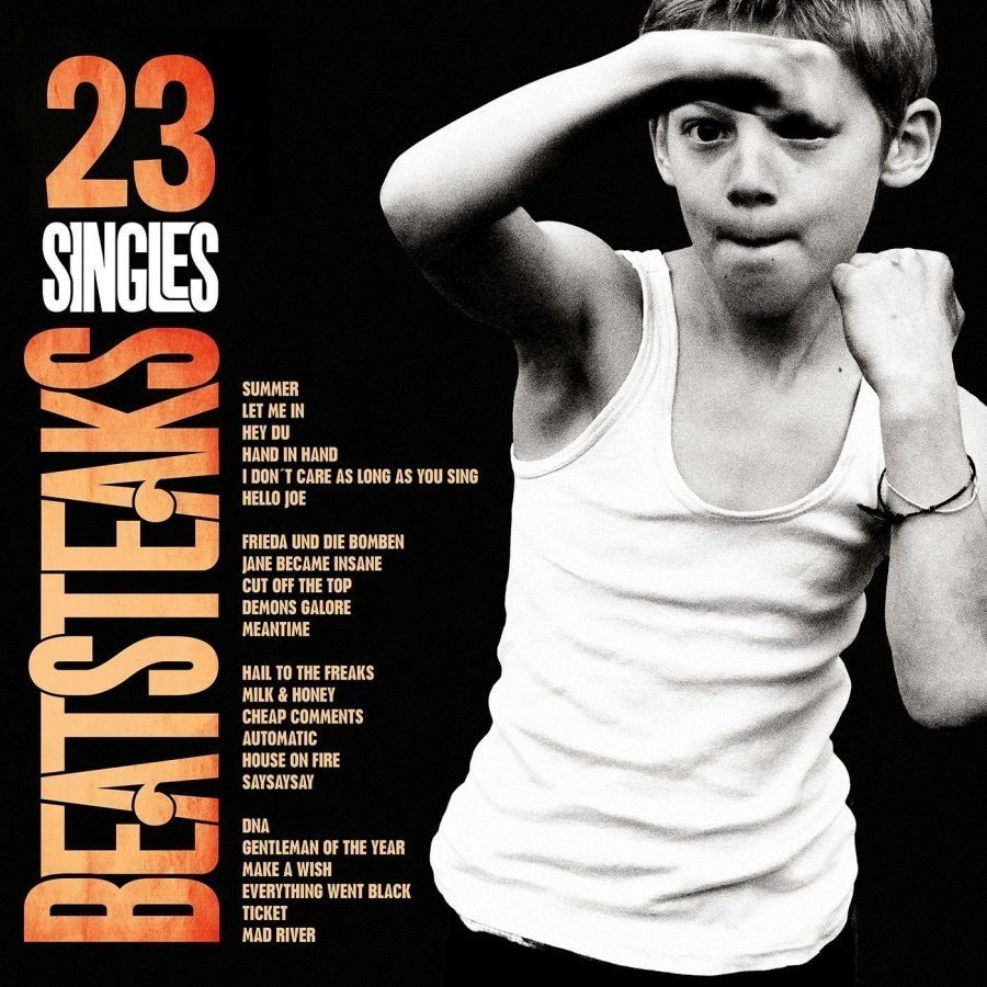 Виниловая пластинка Beatsteaks, 23 Singles (Remastered) - фото 1
