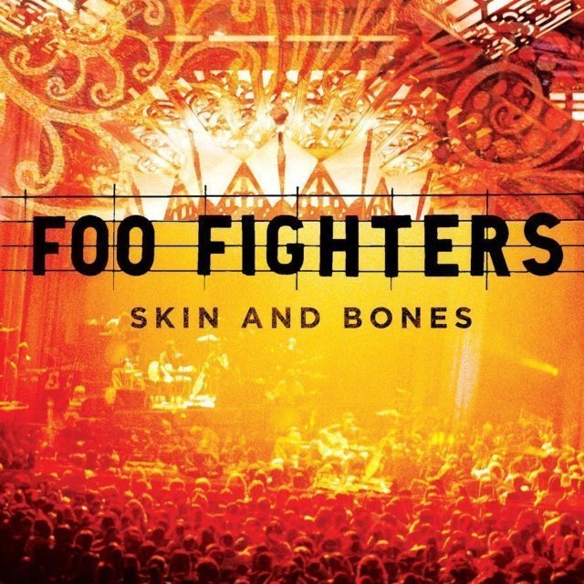 Виниловая пластинка Foo Fighters, Skin and Bones