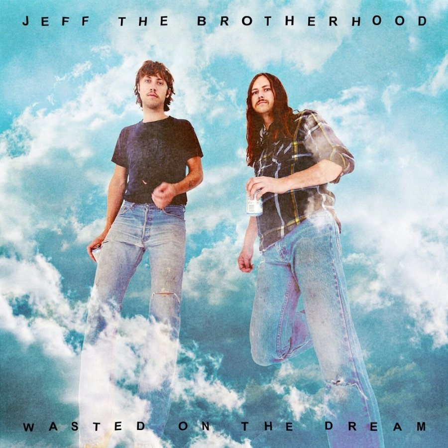 Виниловая пластинка Jeff The Brotherhood, Wasted On The Dream - фото 1