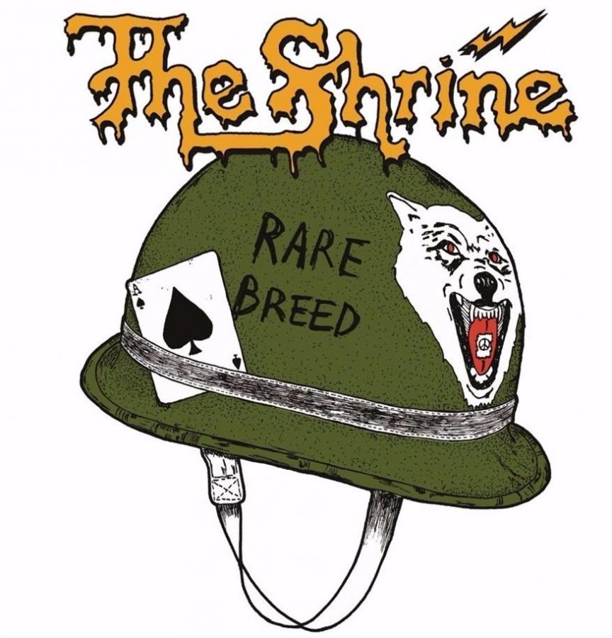 Виниловая пластинка Shrine, The, Rare Breed (LP, CD) (5051099860810)