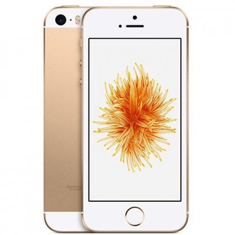 Смартфон Apple iPhone SE 32GB Gold (MP842RU/A) - фото 1