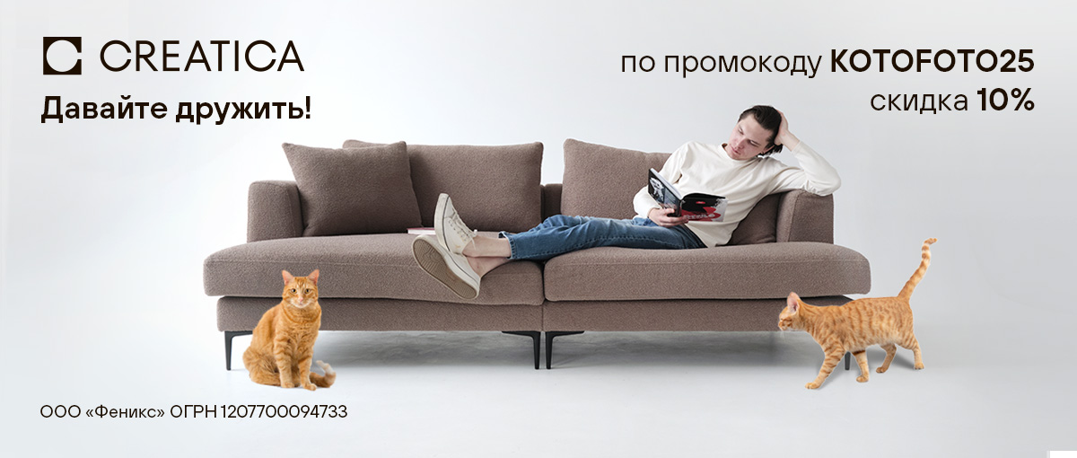 Creatica: Давайте дружить!