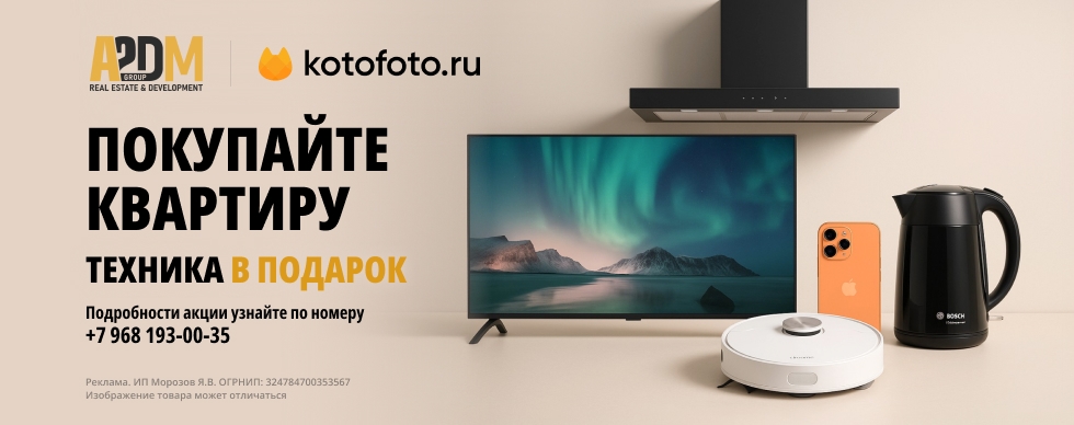 Техника в подарок от КотоФото