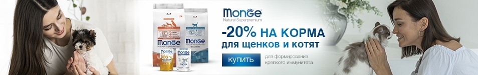 Monge - 20% на корма для щенков и котят