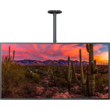 Кронштейн для телевизора Cactus CS-CP04-R черный 37"-70" макс.81.6кг потолочный поворот и наклон - фото 4