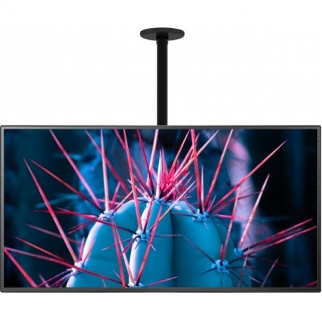 Кронштейн для телевизора Cactus CS-CP07 черный 23"-55" макс.45кг потолочный поворот и наклон - фото 2