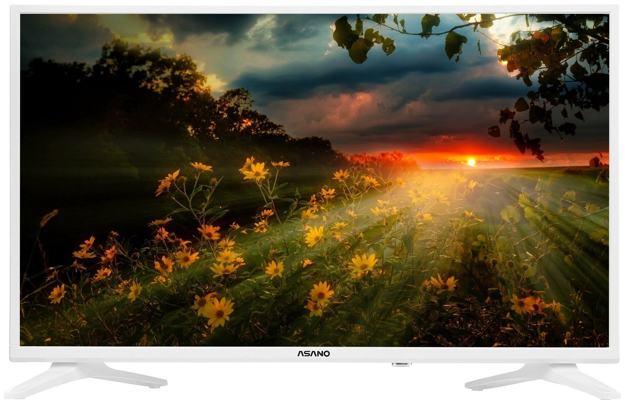 Телевизор Asano 32 32LH8011T asano телевизор asano 32lh8011t smart tv белый гарантия производителя