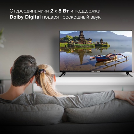 Телевизор Hyundai 40" H-LED40BS5003 черный - фото 16