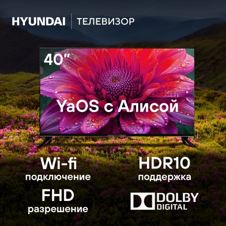 Телевизор Hyundai 40" H-LED40BS5003 черный - фото 21