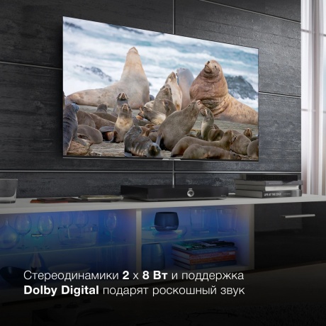 Телевизор Hyundai 65' H-LED65BU7003 черный - фото 21