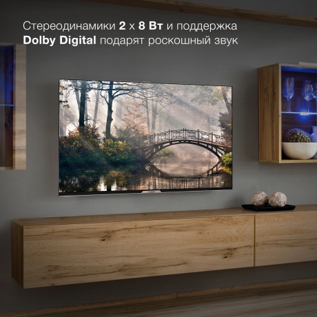 Телевизор Hyundai 43" H-LED43BU7003 черный - фото 19