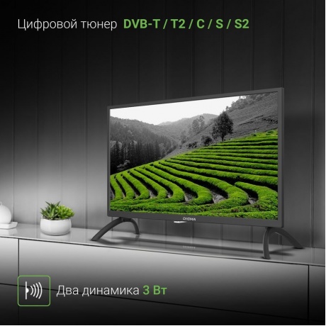 Телевизор Digma DM-LED24MBB21черный - фото 10