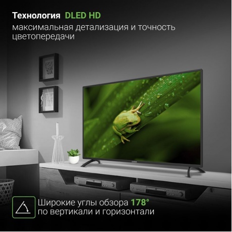 Телевизор Digma DM-LED40MBB21 черный - фото 9