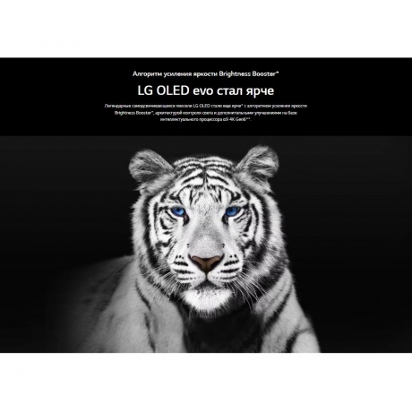 Телевизор LG OLED48C3RLA - фото 13