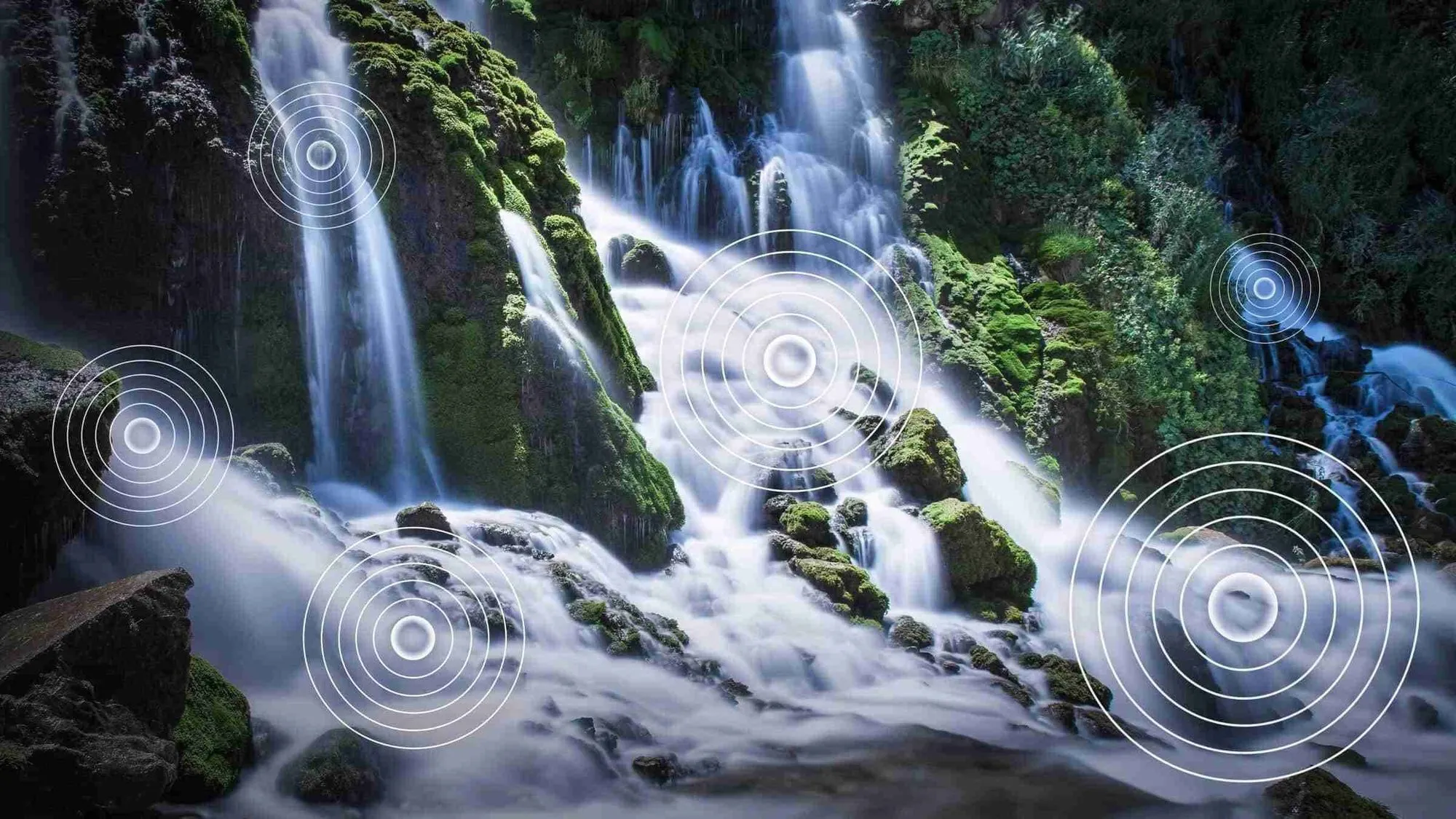 Телевизор TCL 32S5400AF (Full HD 1920x1080, Smart TV) черный - фото 25