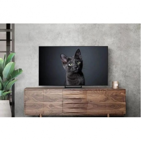 Телевизор Samsung QE55S90CAUXCE Series 9 черный титан - фото 5