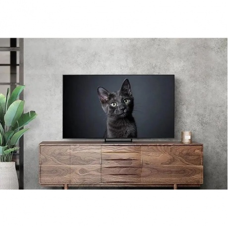 Телевизор Samsung QE65S90CAUXRU Series 9 черный титан - фото 14