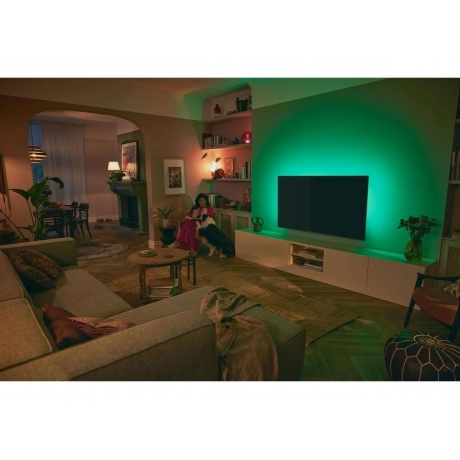 Телевизор Philips 55PUS8519/60 Series 8 серый антрацит - фото 19