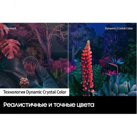 Телевизор Samsung UE75CU8500UXCE Series 8 серый - фото 5