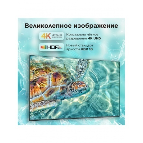 Телевизор LCD 75&quot; 4K 75V6B TCL - фото 14