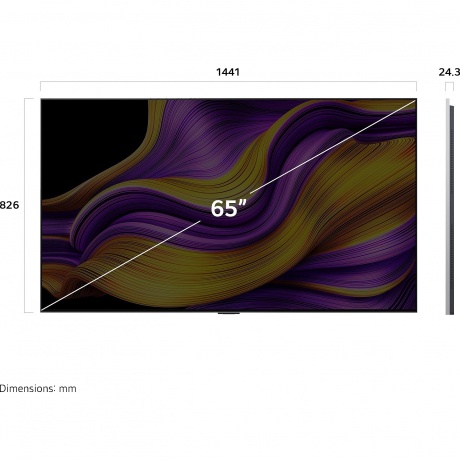Телевизор LG OLED OLED65G5RLA.ARUG 65" - фото 4