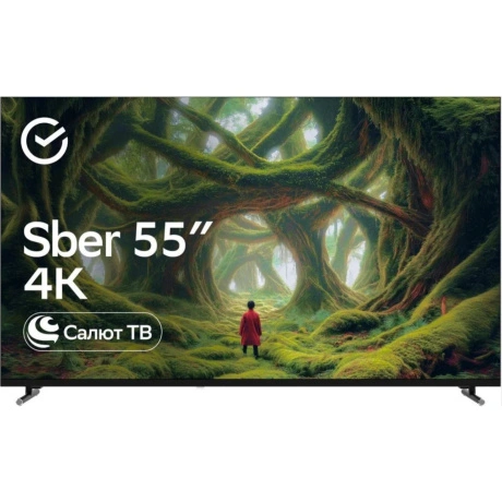 Телевизор SBER 55" SDX-55U5500DBB