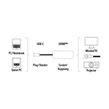 Адаптер Hama H-135726 00135726 HDMI (f) USB Type-C (m) 0.1м черный - фото 1