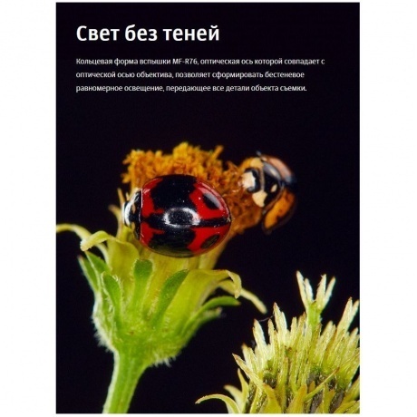 Вспышка для макросъемки Godox MF-R76C TTL для Canon - фото 16