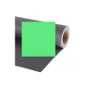 Фон бумажный Raylab 026 Spring Green светло-зеленый 2.72x11 м